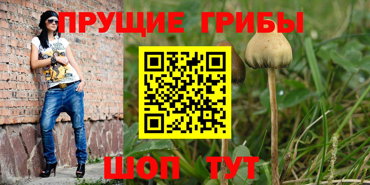 купить закладку  Псилоцибиновые грибы мухоморы  Вход с VPN  Тавда 